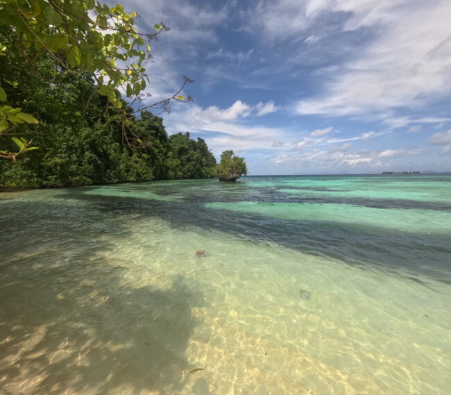 The Crystal clear waters of Labengki Indonesia