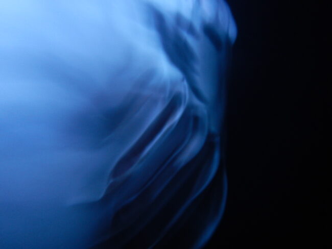 A night image of a manta ray close up to it's gills