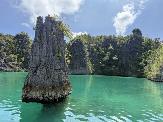 The palm-fringed islands on azure waters in Central Raja Ampat.