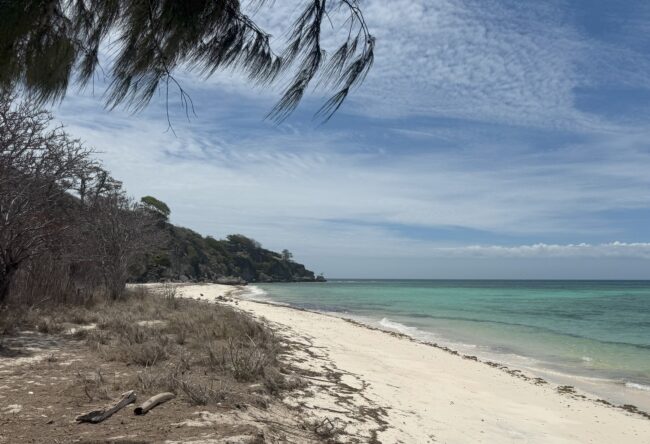 White sand beach of Atauro Islands